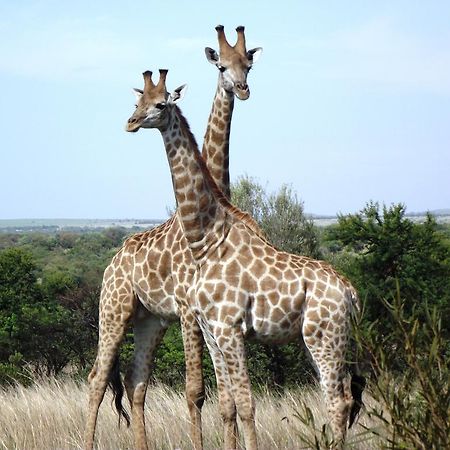 Kareekloof Game Farm Villa Derby Ruang foto
