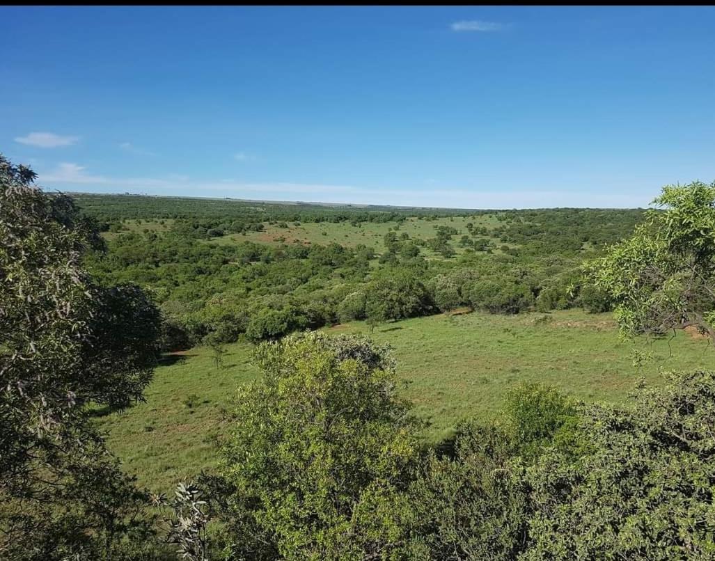 Kareekloof Game Farm Villa Derby Bagian luar foto