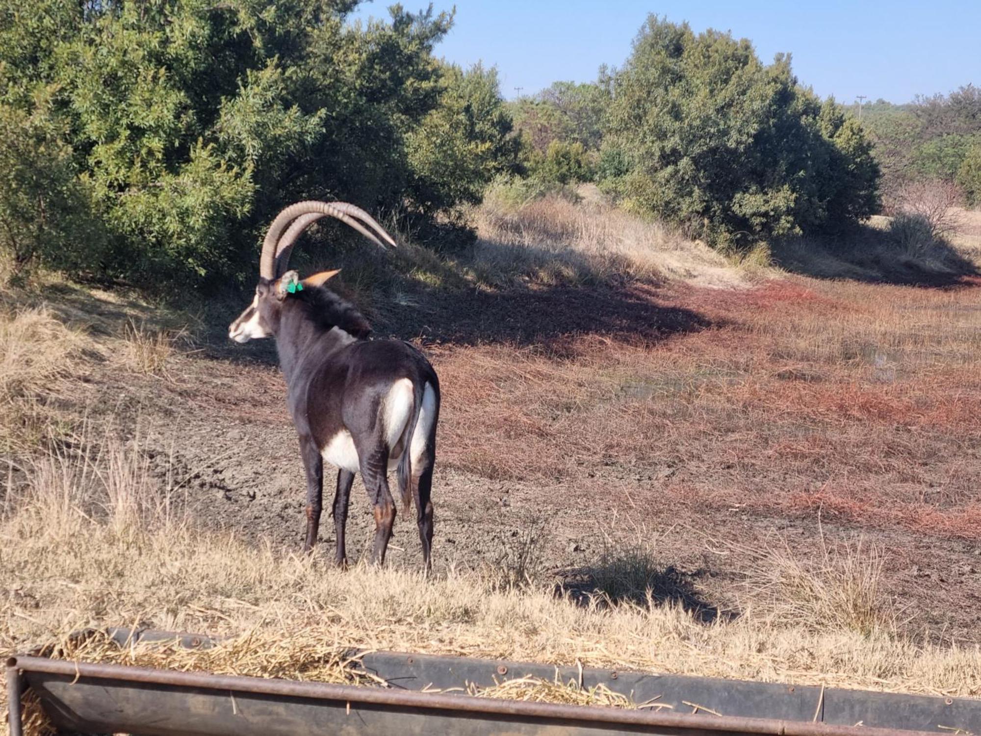 Kareekloof Game Farm Villa Derby Bagian luar foto